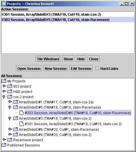 screen shot of choosing arraySlides on project frame